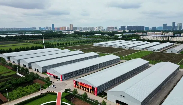 电商运营中供应链整合的实战建议